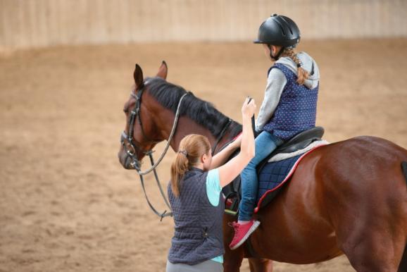 Cours d’équitation près d’Acquigny (27) Cours d’équitation près d’Acquigny (27)