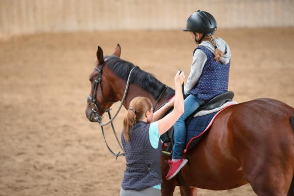 Cours d’équitation près d’Acquigny (27)