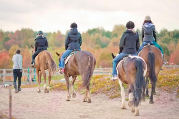 Cours d’équitation près d’Acquigny (27) Cours d’équitation près d’Acquigny (27)
