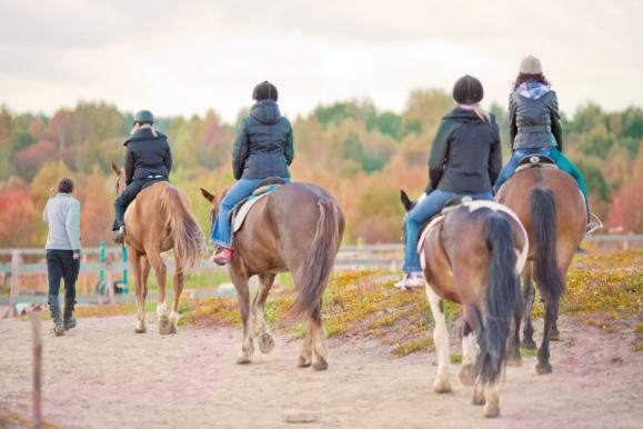 Cours d’équitation près d’Acquigny (27)